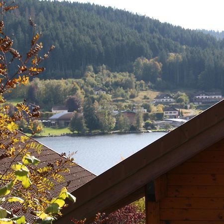 Chalet Vosgien Gerardmer Exterior photo
