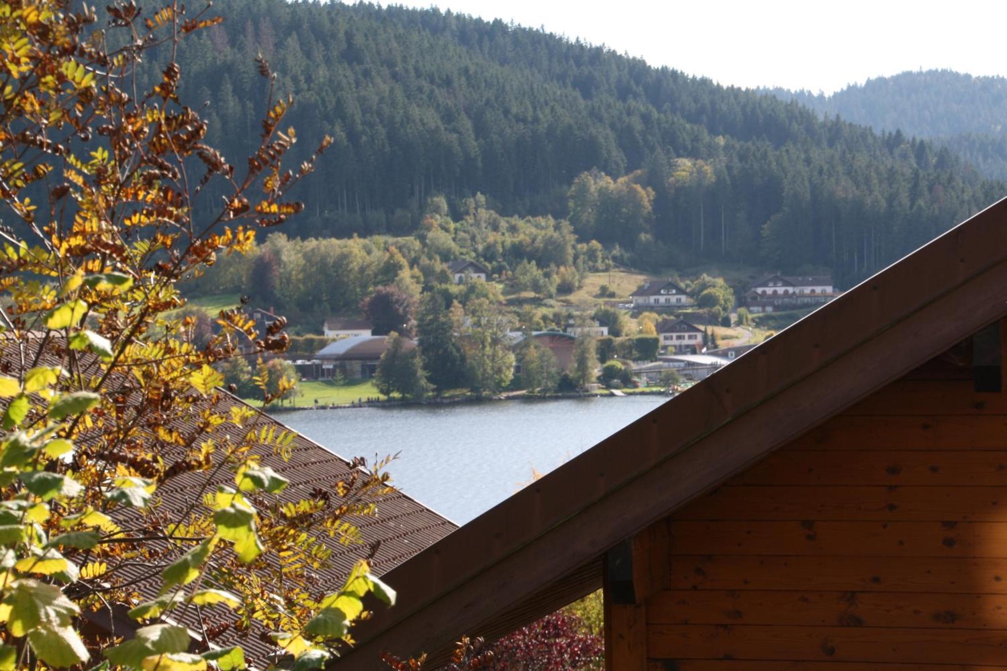 Chalet Vosgien Gerardmer Exterior photo